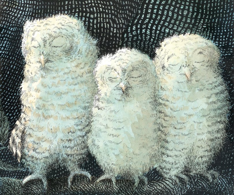 owl babies (08),绘本,绘本故事,绘本阅读,故事书,童书,图画书,课外阅读
